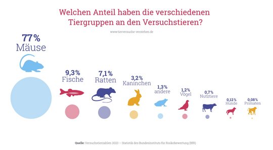 Anteil der verschiedenen Tiergruppen an den Versuchstieren. Eine Übersicht, in der die verschiedenen Tiergruppen (Mäuse, Ratten, Fische, Kaninchen, Vögel, Andere, Nutztiere, Hunde und Primaten) in absteigender Häufigkeit dargestellt sind