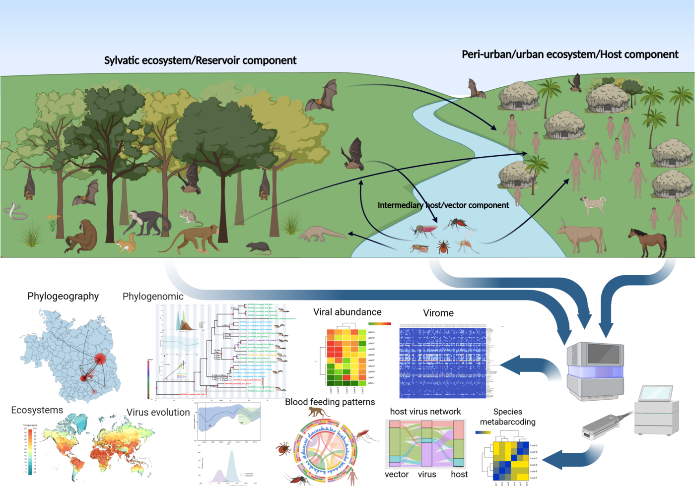 WG Virus Metagenomics and Evolution One Health graphic with the points of contact between humans, animals and the environment