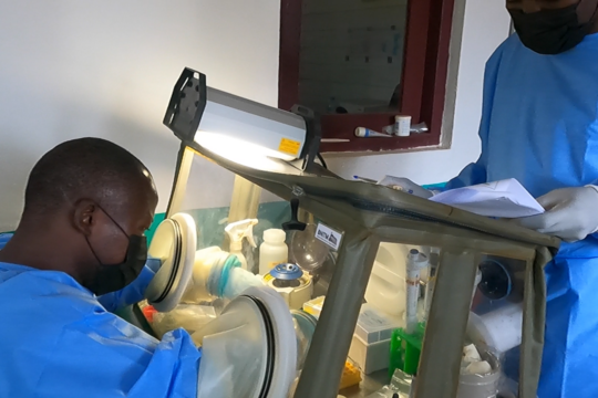 Das Foto zeigt einen guineischen Wissenschaftler in blauem Schutzanzug bei der Arbeit an einer Glove box mit einer Buddy davor.