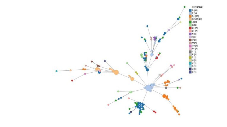 Zu sehen ist ein sogenannter "minimum spanning Tree" einer bakterillen Probe. Mehrere unterschiedlich große und farbige Kreise erstrecken sich zu einem chemenhaften Baum, die mit einzelnen Strichen verbunden sind. An der Seite ist eine Legende mit der Überschrift seroproup, derunter sind die unterschiedlichen Farben mit ihrer Bezeichnung aufgelistet.