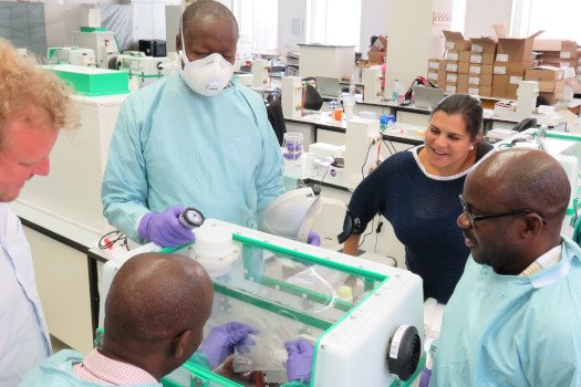 Mobile Lab For Pandemic Preparedness Fünf Personen arbeiten in einem Labor gemeinsam an einem mobilen Analysegerät, zwei davon tragen Schutzkleidung und Atemschutzmasken.