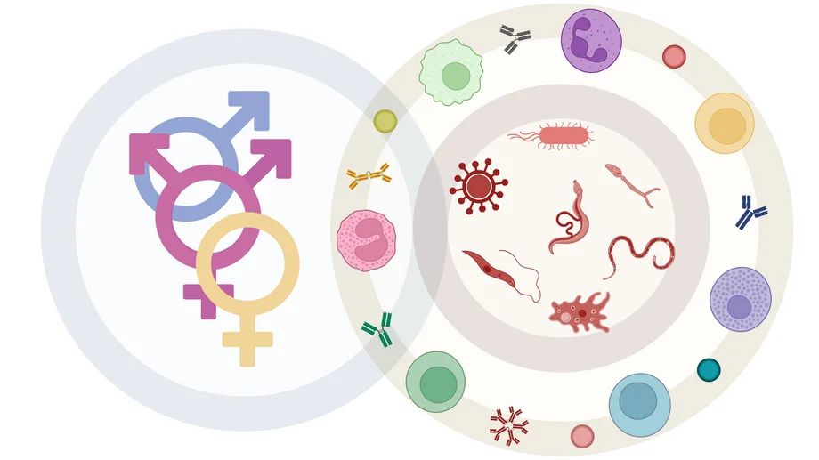 Infoveranstaltung zu geschlechtersensibler Medizin Zwei überlappende Kreise: Links mehrere ineinandergreifende Geschlechtersymbole in Pink, Blau und Gelb. Rechts bunte Mikroorganismen und ringsum bunte Immunzellen und Antikörper