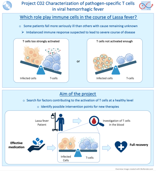The project and its objectives are illustrated.