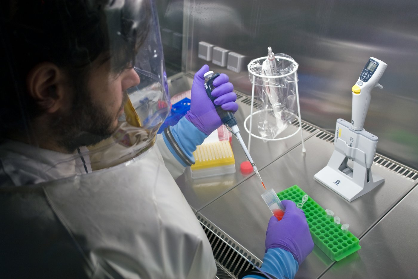 Ein Labormitarbeiter pipettiert mit lila Handschuhen und Schutzausrüstung in einem Hochsicherheitslabor. Man sieht eine Edelstahlarbeitsfläche und ein leuchtend grünes Rack.