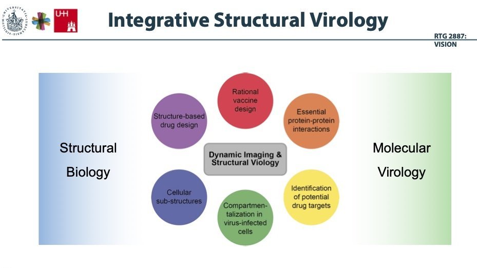 The colourful picture visualises the structure of the Graduate School. It consists of a left part in blue with the heading "Structural Biology" and a right part in green with the heading "Molecular Virology". In between, six colourful circles show the different groups of the Graduate School.