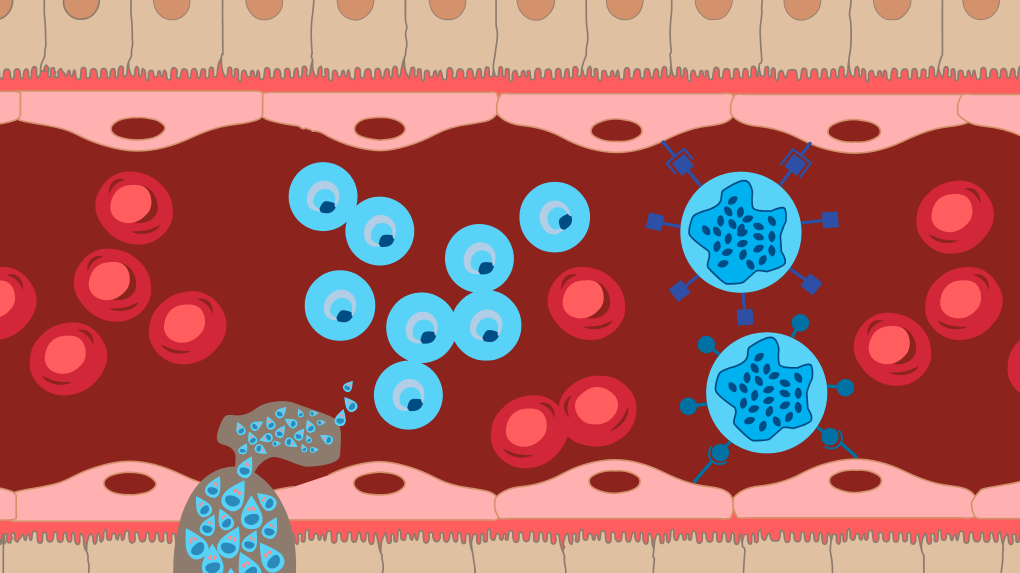 Malaria graphic