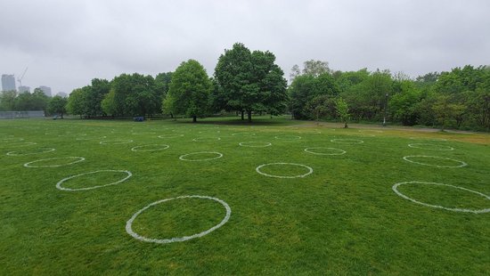Eine große Rasenfläche, die von Bäumen gesäumt ist. Auf dem Rasen sind mehrere, ordentlich sortierten und gleichgroße Kreise gezeichnet worden.
