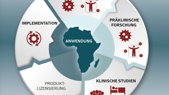 Grafik Arbeitsberich des BNITM