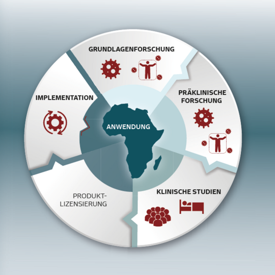 Grafi Arbeitsberich des BNITM