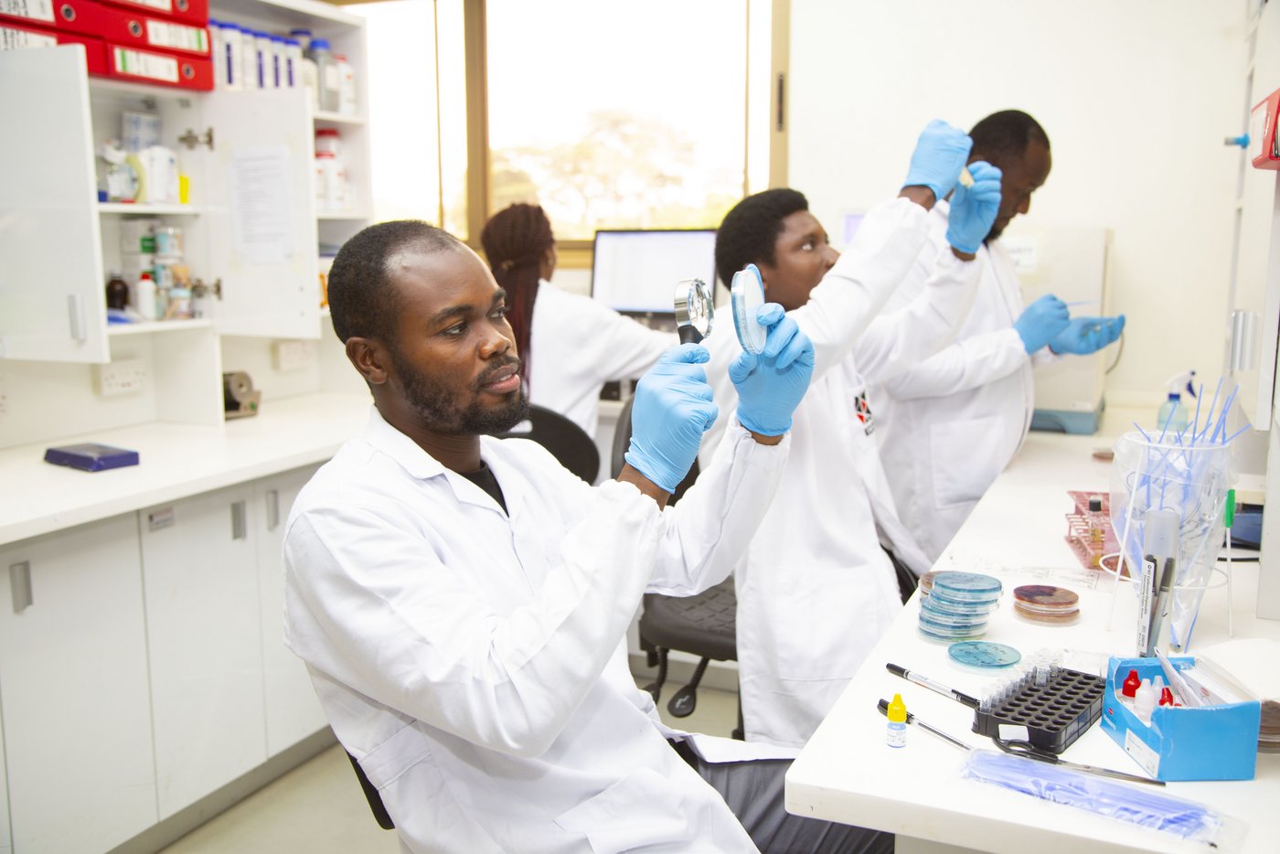 Das Bild zeigt drei afrikanische Forscher und eine afrikanische Forscherin in weißen Kitteln und hellblauen Handschuhen im Labor arbeiten.