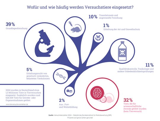 Zu sehen ist eine Graphik, auf der mittels eines lilafarbendes Baums die Notwendigkeit von Tierversuchen verdeutlich wird. Insgesamt gibt es 5 Zweige: begonnen wird unten links mit einem in blau gehaltenem schematischen Bild eines Virus, mit dem Schriftzug Erforschung von Krankheiten und Verbesserung von Behandlung. Darüber die Überprüfung von Wirkstoffen auf Unbedenklichkeit, mit dem Bild von zwei Tabletten und einem Reagenzglas. In der Mitte oben der Schutz von Mensch und Tier, mit dem Symbol zweier sich öffnenden Hände, aus der ein Schmetterling losfliegt. Rechts wird mittels eines Skeletts des Rumpfes die Erforschung von Körperfunktionen genannt. Unten rechts bildet der fünfte Punkt die Aus- und Weiterbildung, mittels Büchern und einem Arztkoffer dargestellt.
