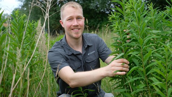 Foto eines hockenden jungen blonden Forschers im blauen T-Shirt, der gerade eine Pflanze erntet und freundlich in die Kamera blickt.