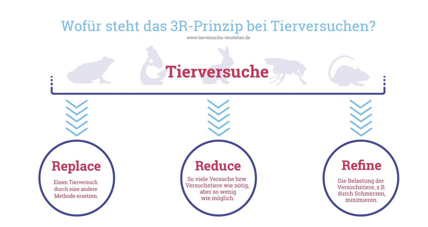 Das 3R-Prinzip Eine Grafik, die das 3R-Prinzip veranschauchlicht: Replace, Reduce, Refine.