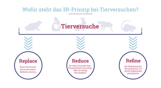 Das 3R-Prinzip Eine Grafik, die das 3R-Prinzip veranschauchlicht: Replace, Reduce, Refine.