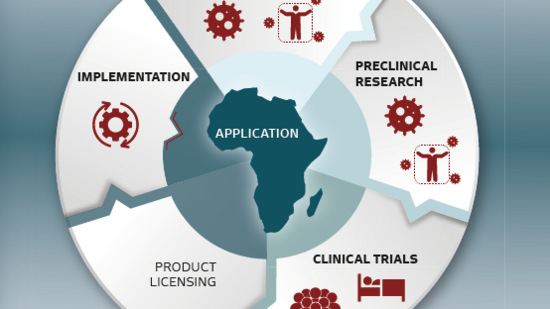 Graphic Working Report of the BNITM