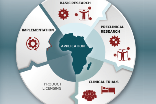 Graphic Working Report of the BNITM