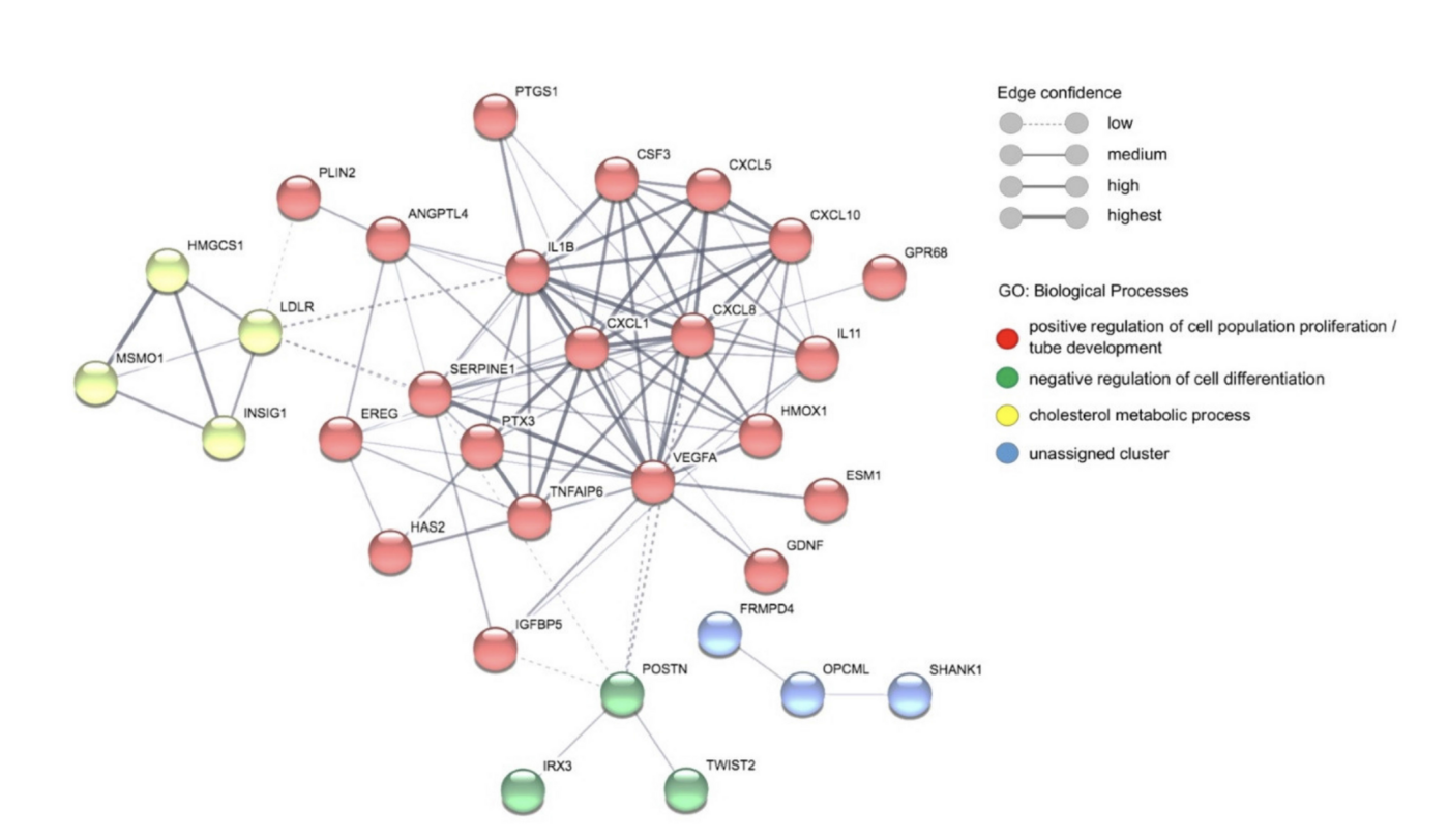 Das Bild zeigt eine grapfische Darstellung der Stimulation verschiedener biologischer Prozesse in Endothelzellen durch Plasma malariaerkrankter Patienten.