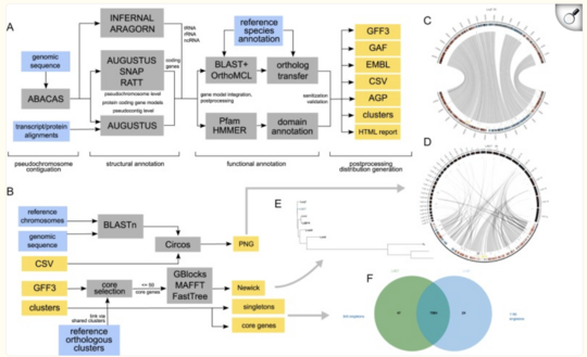Companion workflow
