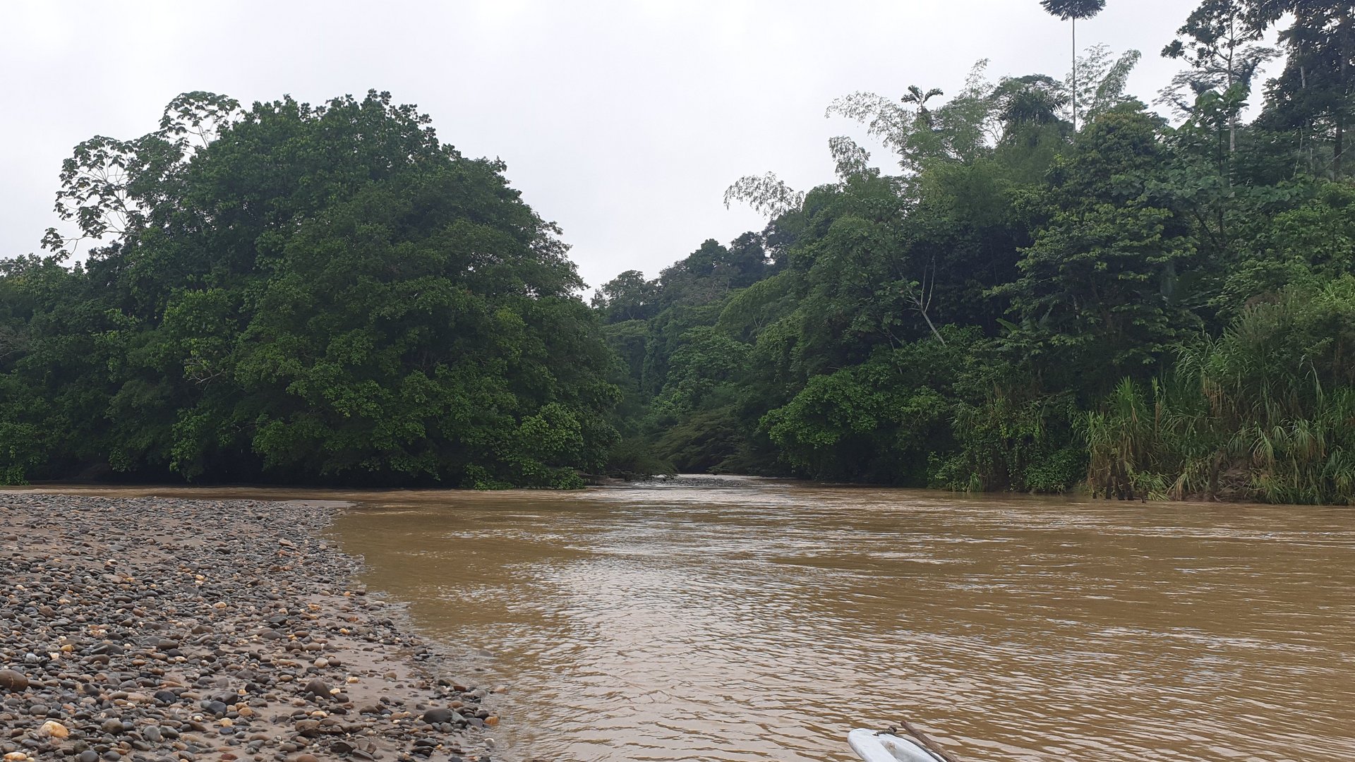Der Amazonas der über ein steinige Flussbett fließt, am Rand des Flussbettes erhebt sich ein Regenwald.