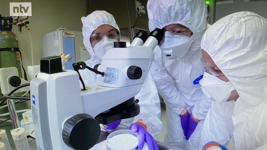 Das Bild zeigt drei Personen im BSL-3-Insektarium in weißen Vollschutzanzügen, mit Mundschutz und Schutzbrillen, vor einem Mikroskop.