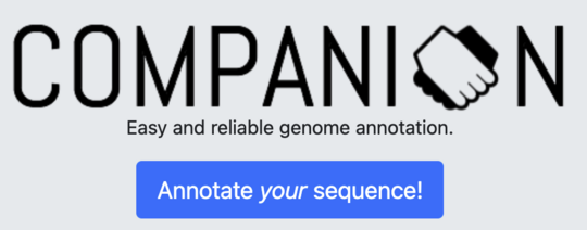 Companion Anntation server