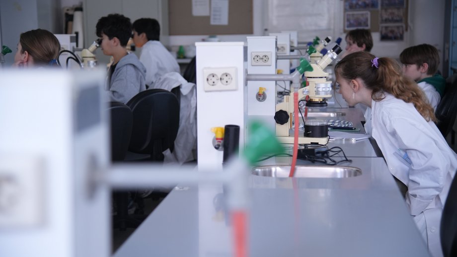 Auf dem Foto sind Schüler:innen zu sehen, die sich über Proben am Mikroskop beugen. Sie tragen weiße Kittel.