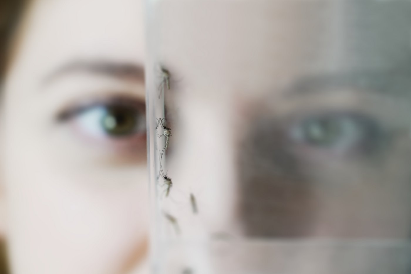 Das Bild zeigt eine Forscherin, wie sie eine Mücke in einem Glas beobachtet.