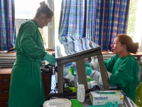 Schulungen in molekularen Diagnostikmethoden Das Bild zeigt zwei Wissenschaftlerinnen bei der Laborarbeit.