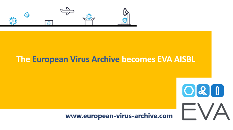Gelbe Grafik mit der Aufschrift "The European Virus Archive becomes EVA AISBL"