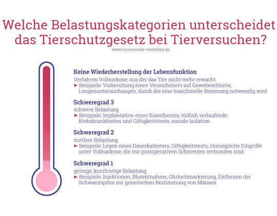 Die Grafik zeigt die vier Belastungsgrade auf, die das Tierschutzgesetzt bei Tierversuchen unterscheidet.