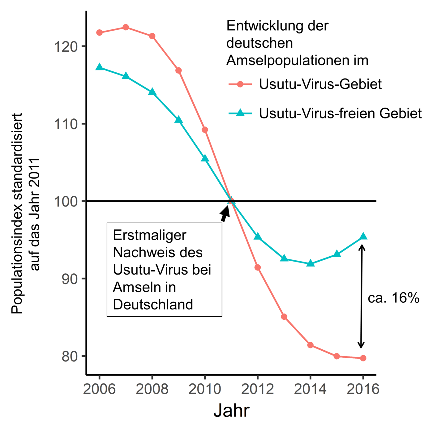 Das Bild zeigt ein Diagramm über den Rückgang der Amselpopulation im Utusu-Verbreitungsgebiet.