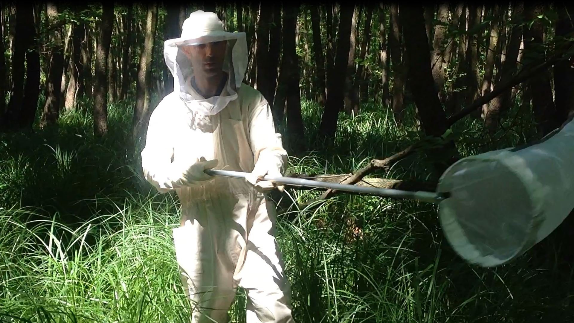 Man in a protective gear catching flies with a net