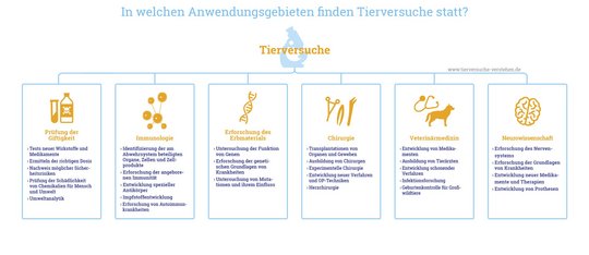 Anwendungsgebiete Tierversuche Grafik, die zeigt, in welchen Anwendungsgebieten Tierversuche stattfinden: Gifttigkeit, Immunologie, Forschung Erbmaterial, Chirurgie, Veterinärmedizin, Neurowissenschaft