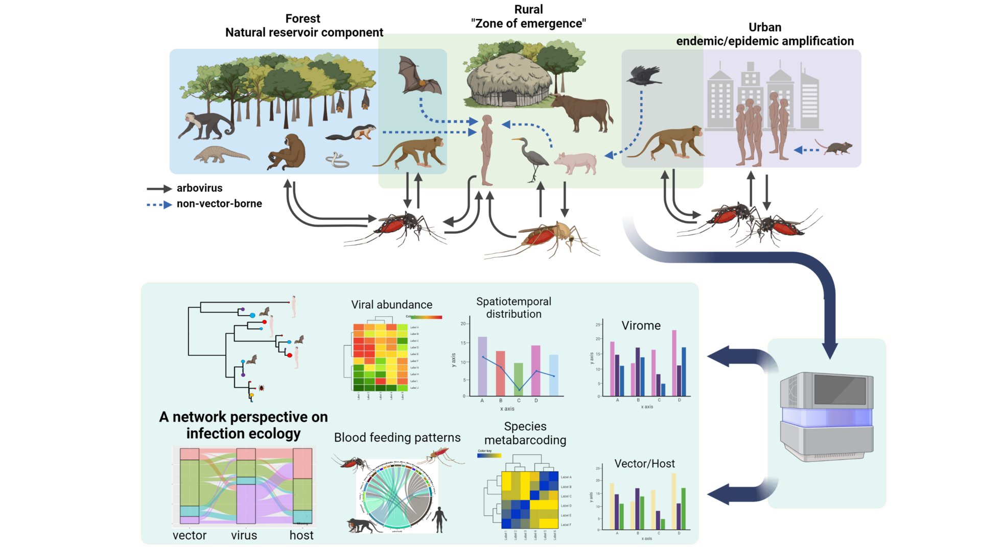 Virus xenosurveillance by blood meal (single mosquito) metatranscriptomics.