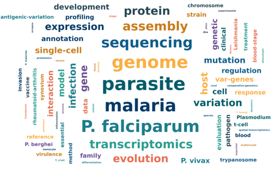 word cloud 162 publications