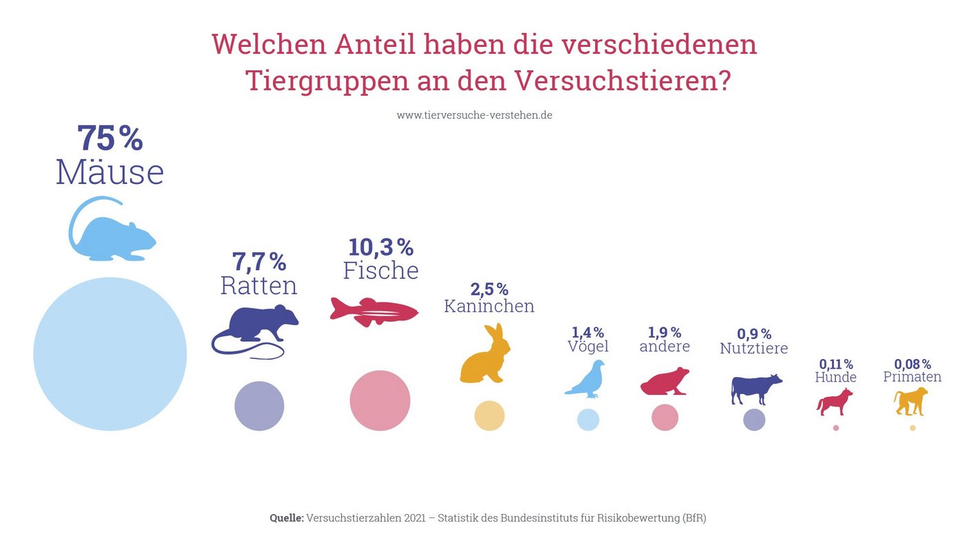 Anteil der verschiedenen Tiergruppen an den Versuchstieren. Eine Übersicht, in der die verschiedenen Tiergruppen (Mäuse, Ratten, Fische, Kaninchen, Vögel, Andere, Nutztiere, Hunde und Primaten) in absteigender Häufigkeit dargestellt sind.