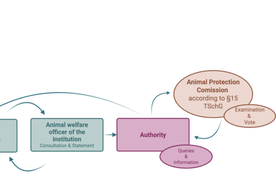 A diagram of the authorization process is shown, illustrating the respective parties involved, such as the applicant, the authority, the animal welfare committee, and the animal welfare officer.