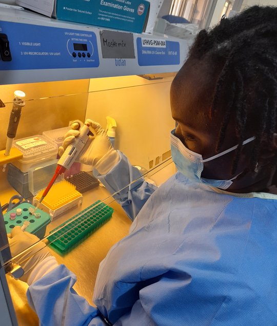 Das Foto zeigt eine guineische Wissenschaftlerin mit Mundschutz an einer Laborbench beim Pipettieren.