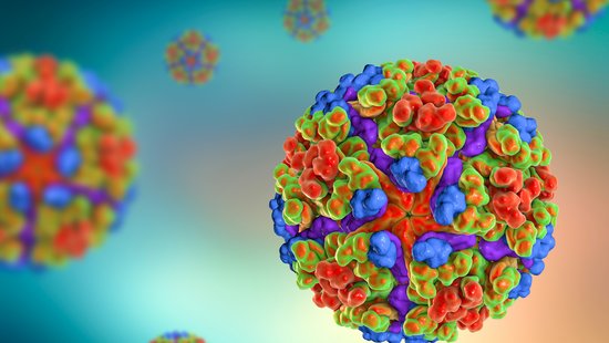 Colourful graphic with round chikungunya virus