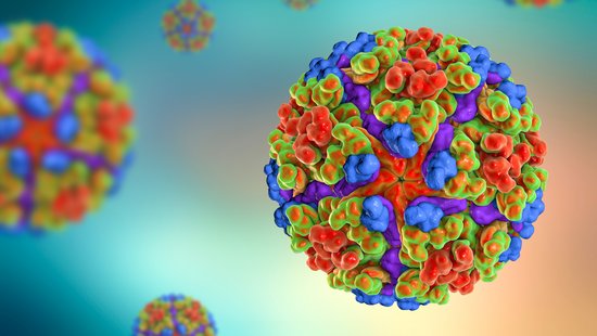 Bunte Grafik mit rundem Chikungunya-Virus