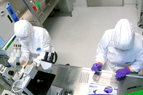 View from above of researchers working with laboratory equipment in the BSL3 Insectarium