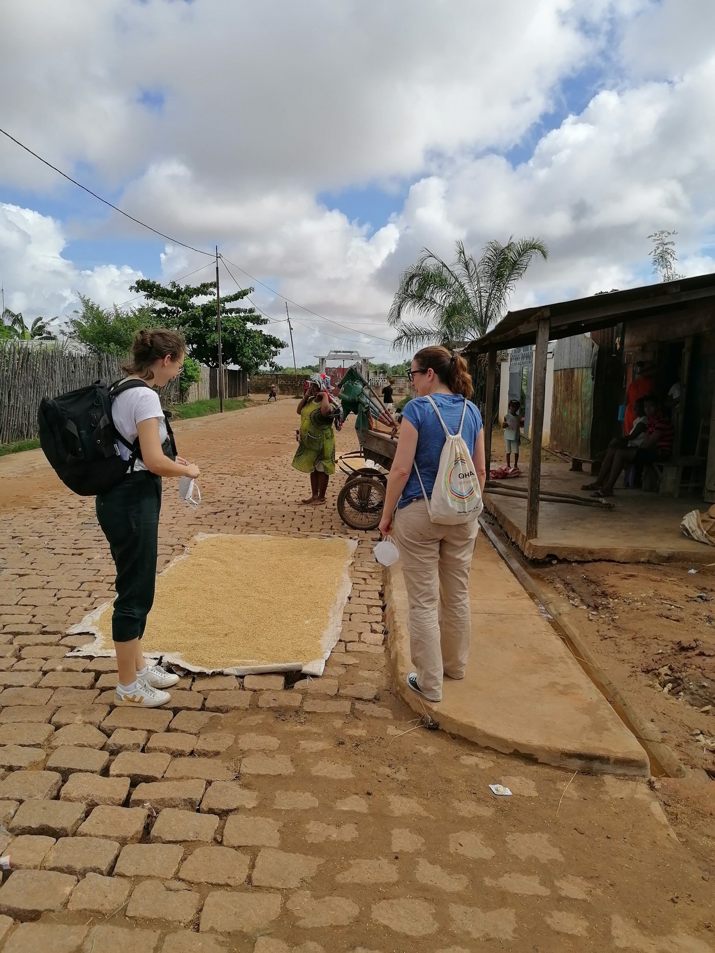 Zu sehen ist eine gepflasterte Straße in Madagaskar, an dessen rechten Seite kleine Hütten stehen. Auf einer Plane auf der Straße liegt Reis, der in der Sonne getrocknet wird, davor laufen zwei Forscherinnen auf dem kleinen Gehweg.