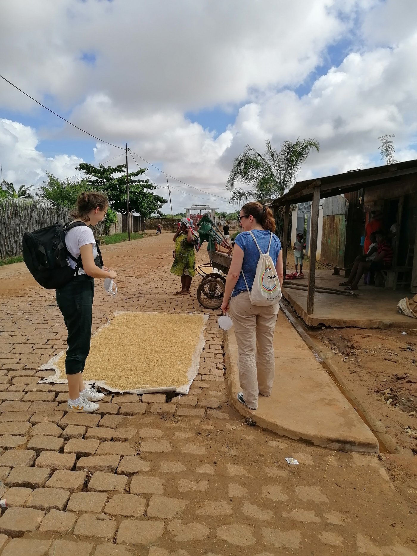 RESAMP project Zu sehen ist eine gepflasterte Straße in Madagaskar, an dessen rechten Seite kleine Hütten stehen. Auf einer Plane auf der Straße liegt Reis, der in der Sonne getrocknet wird, davor laufen zwei Forscherinnen auf dem kleinen Gehweg.