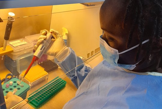 Laboratory Training for Diagnostic of MPOX at Laboratoire des fievres hemorrhagique de Conakry, Guinea The photo shows a Guinean scientist wearing a face mask pipetting at a laboratory bench.