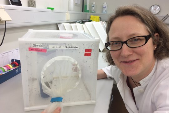 Prof. Dr. Esther Schnettler Das Foto zeigt Prof. Dr. Esther Schnettler im weißen Laborkittel im Labor neben einem weißen Mückenkäfig.