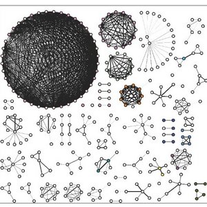 Schwarz-weiße Grafik: Proteinkomplexe finden sich zu Clustern zusammen.