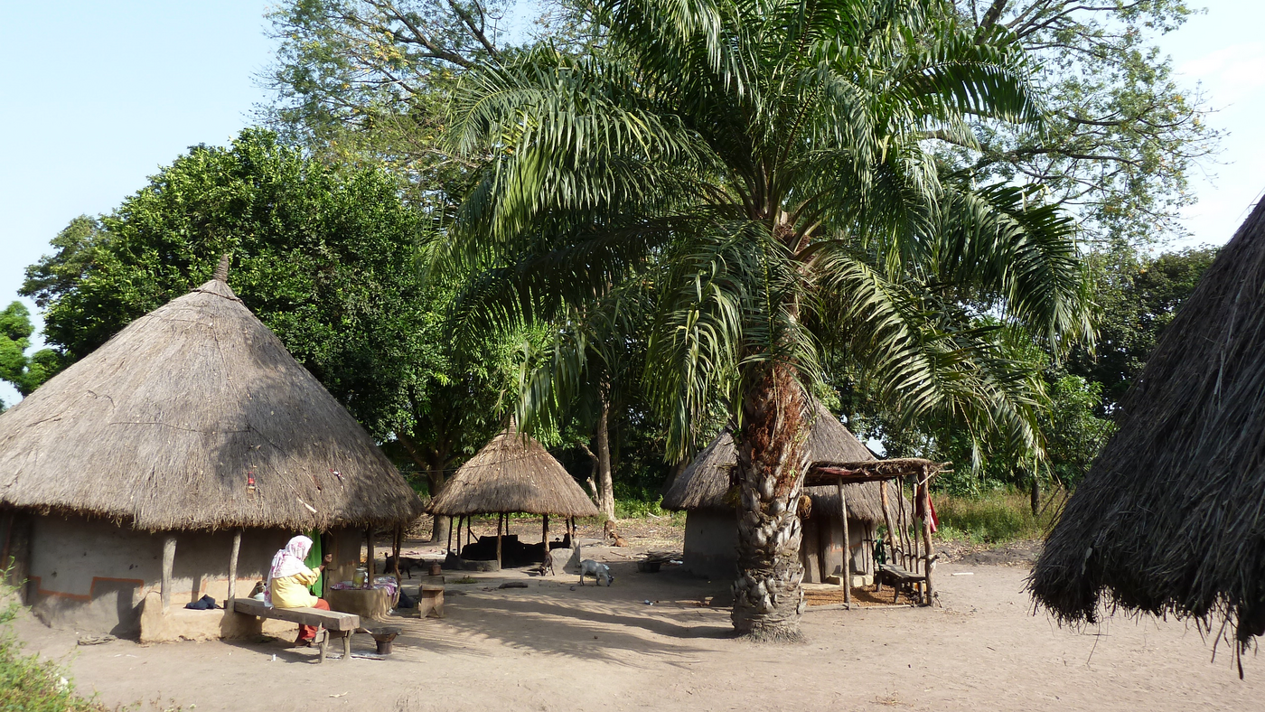 You can see a domestic area with palm trees and huts