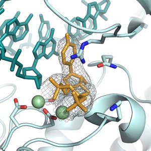Bunte Grafik "Hochdetaiilierte Einblicke in die Bindung von potenziellen Wirkstoffen an virale Proteine"