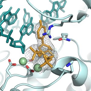Bunte Grafik "Hochdetaiilierte Einblicke in die Bindung von potenziellen Wirkstoffen an virale Proteine"