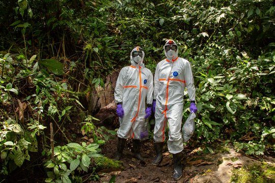 Auf Virensuche im Regenwald Das Foto zeigt zwei Forschende in Ganzkörper-Laboranzügen im Regenwald stehen.